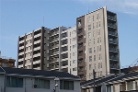 イトーピア溝の口アイスイート