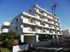 パラスト溝の口