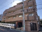 梶ヶ谷ビューハイツ