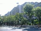 ハイラーク船堀