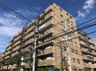 エヴァーグリーン西葛西