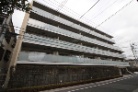 アデニウム篠崎