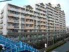 西国分寺ゆかり弐番街