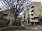 シティパル武蔵野