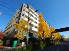 レクセル荻窪