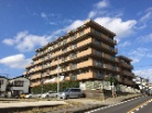 サングレイス桜ヶ丘