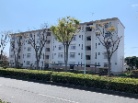 滝ノ沢団地