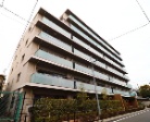 アデニウム板橋浮間公園