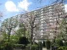 コトーつきみ野