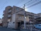 ルピナスつきみ野