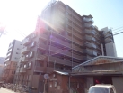 ヒルズ木場公園