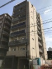 ディアレイシャス菊川