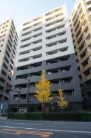 ロアール茅場町