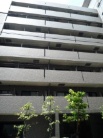 ルーブル新橋