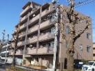 アンビシャス船橋