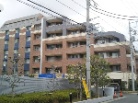 アデニウム西船橋