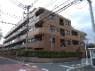 レクセルマンション高根木戸