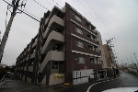 iR[gJÃGo[vC