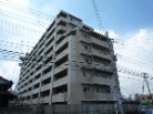 アデニウム津田沼