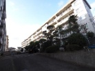 習志野台中央ハイツ