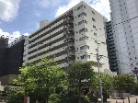 パイロットハウス星川