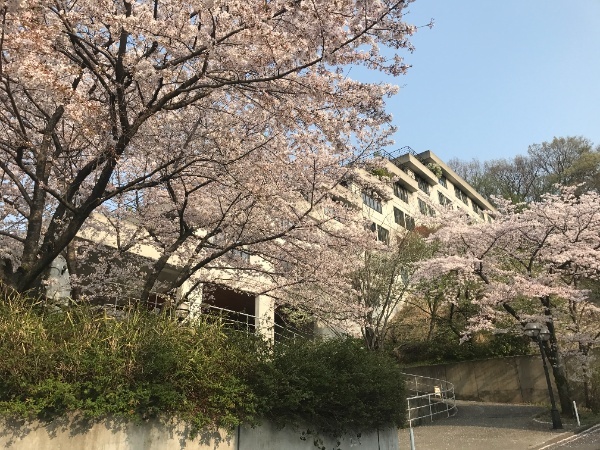 ヒルサイドテラス平山城址 住友不動産販売 で売却 査定 購入 中古マンション 賃貸