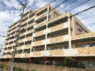 ライオンズガーデン豊田