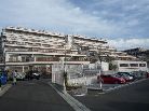 アデニウム玉川学園