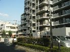 ライオンズマンション町田中町第2