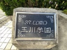 セントエルモ玉川学園