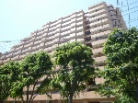 ライオンズプラザ大宮