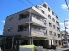 CIY}V{听