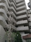 サーパス東大宮
