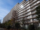 シティパラス柏