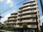 レクセルマンション柏