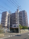 コスモ柏セランス