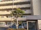コスモ南柏