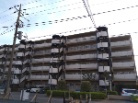 コトー柏