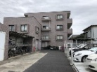 ドルチェ柏