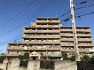 ライオンズガーデン柏