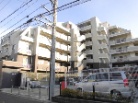ミオカステーロ藤沢本町