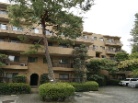 東急ドエルアルス弦巻