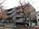 メゾン深沢