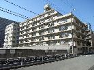 エンゼルハイム豊洲