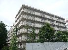 ハイホーム田園調布