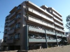 田園調布ヒルズ