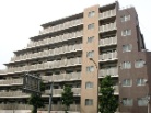 ルピナス用賀