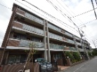 アデニウム二子玉川
