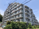 サングレイス愛甲石田