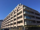 モラーダ海老名ディアステージ